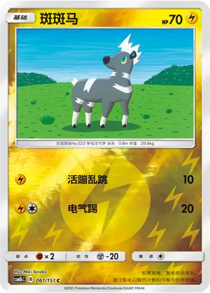 斑斑马