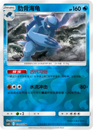 肋骨海龟