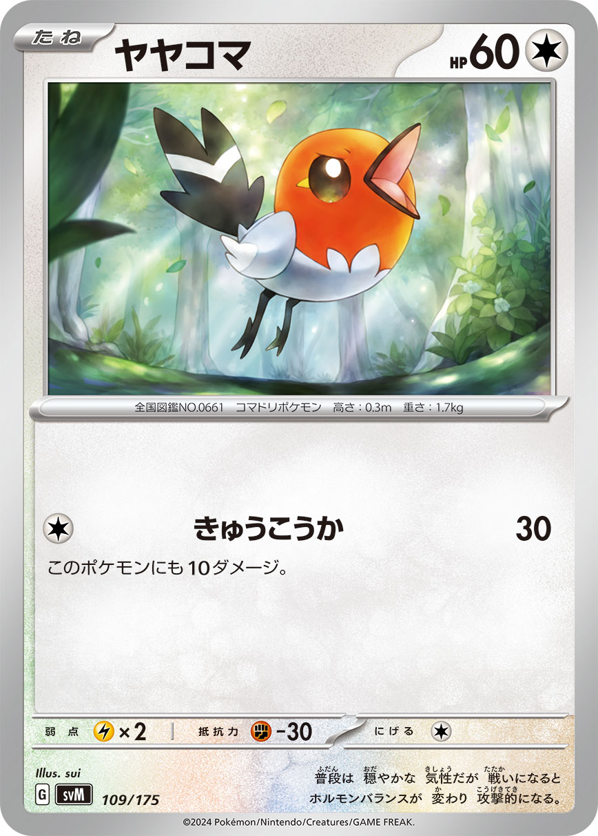 小箭雀