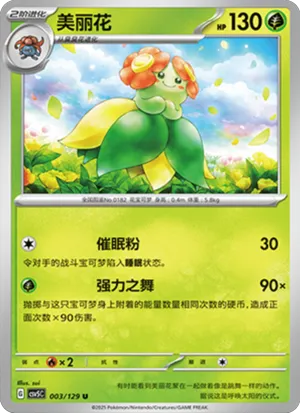 美丽花