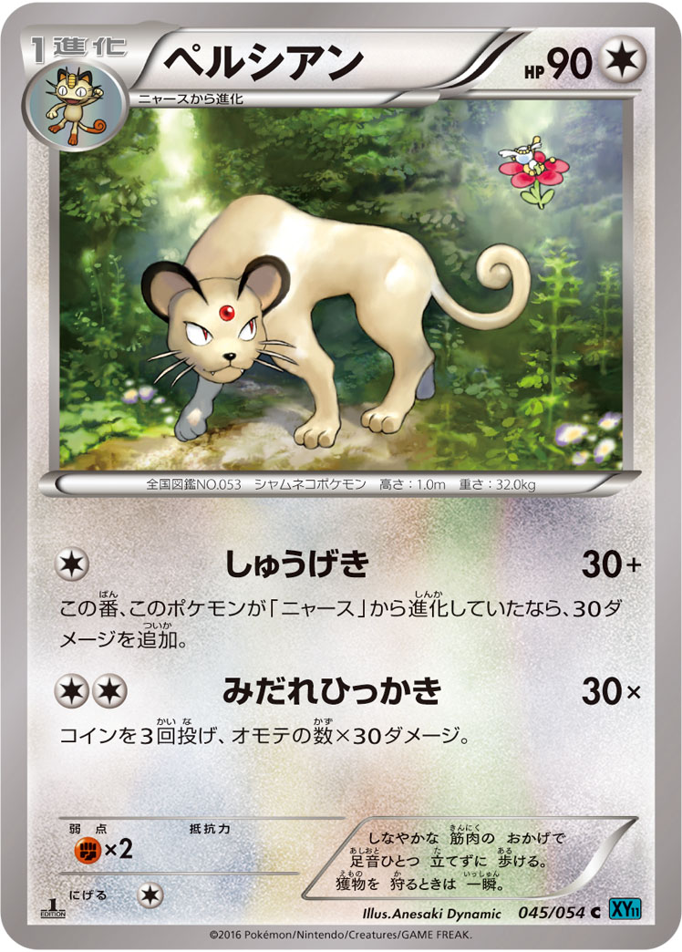 猫老大