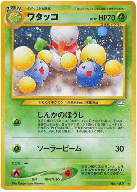 ワタッコ
