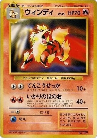 ウィンディ