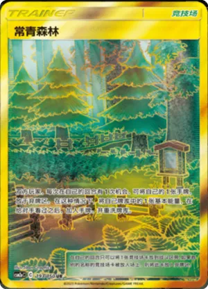 常青森林