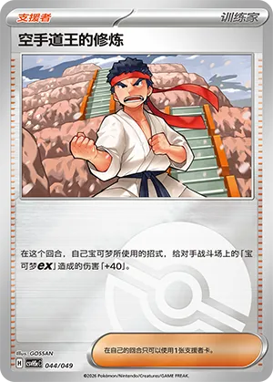 空手道王的修炼