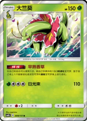 大竺葵