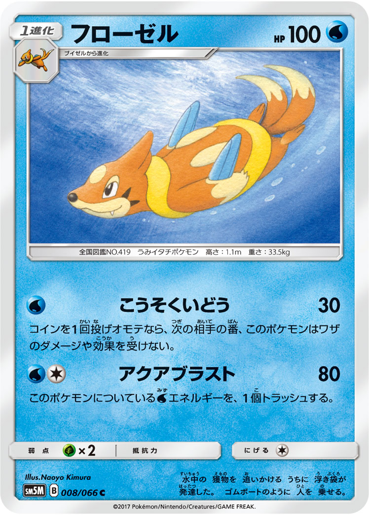 浮潜鼬