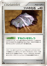 ツメの化石