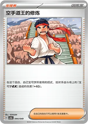 空手道王的修炼
