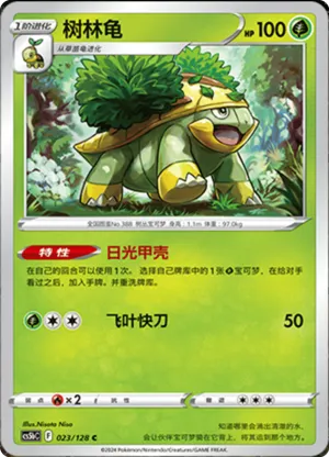 树林龟