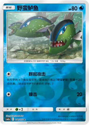 野蛮鲈鱼