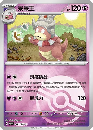 呆呆王