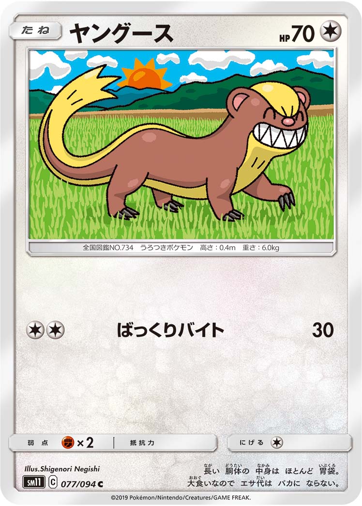 猫鼬少