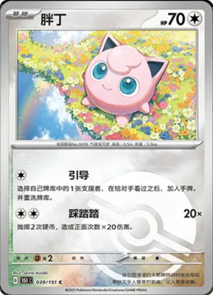 胖丁