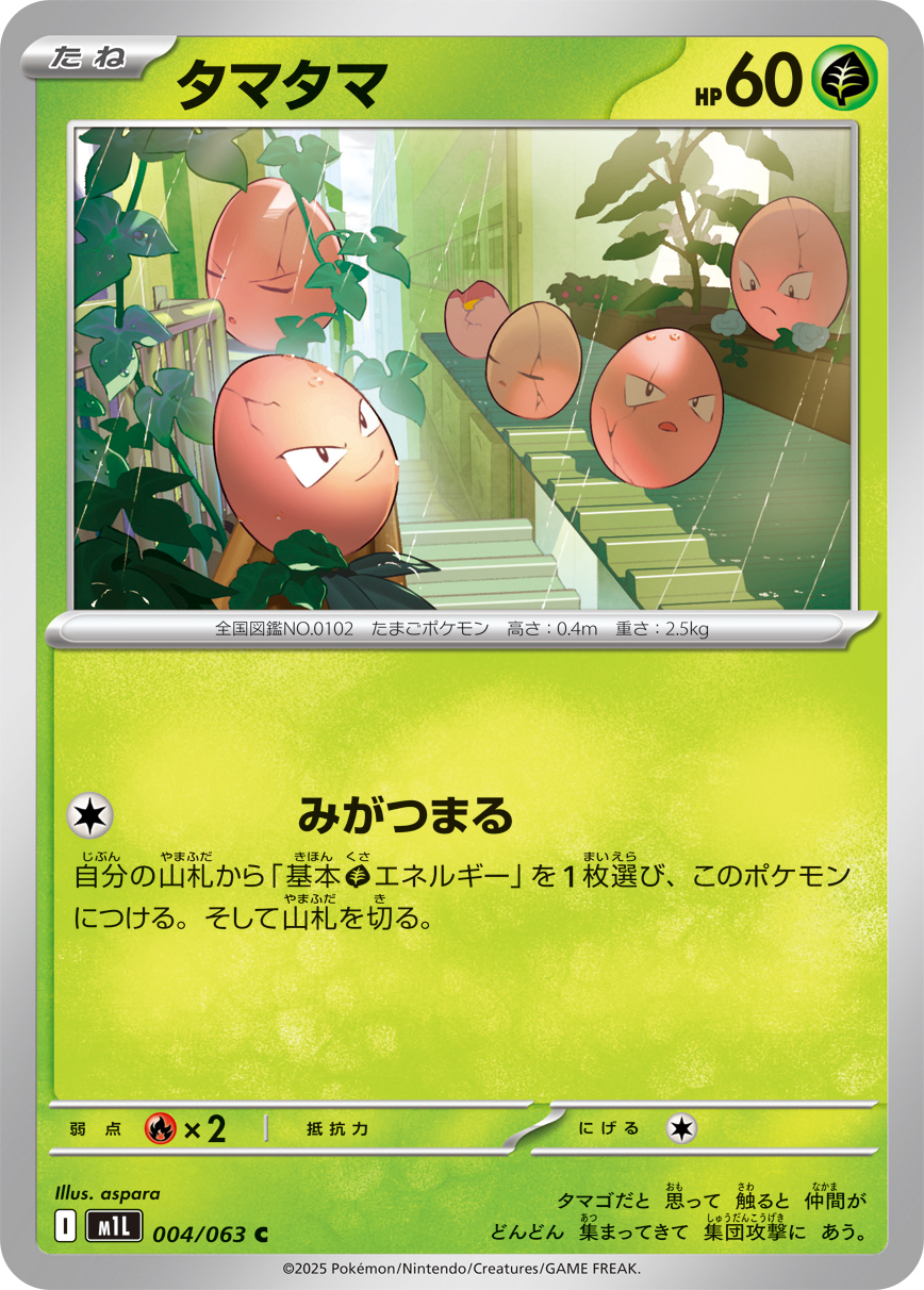 蛋蛋