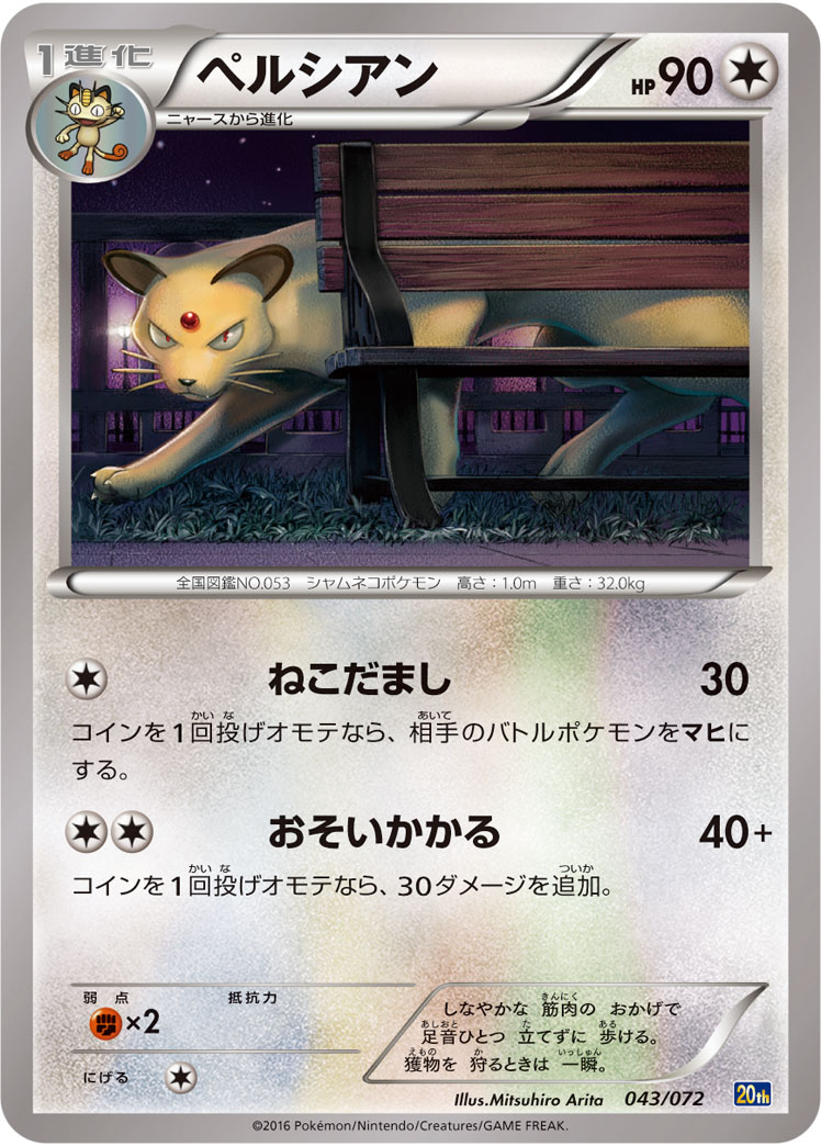 猫老大