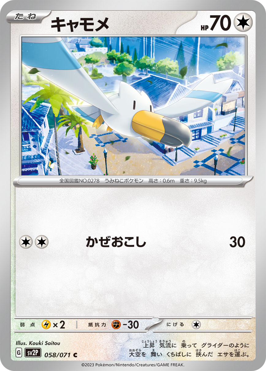 长翅鸥