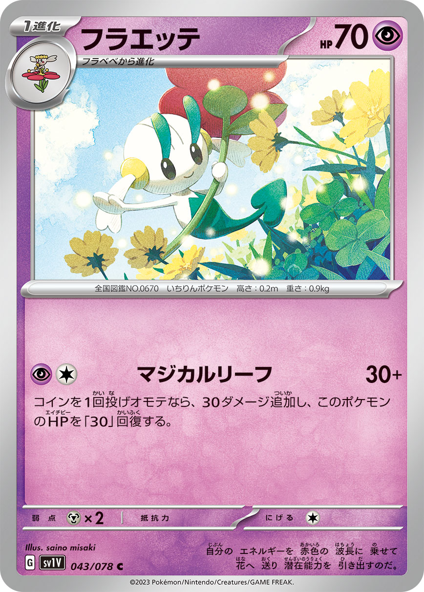 花叶蒂