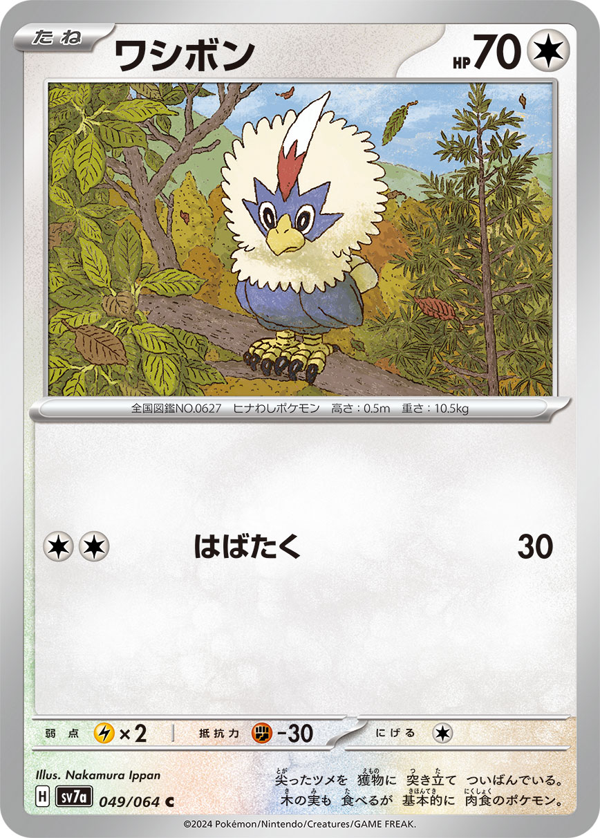 毛头小鹰