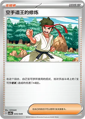 空手道王的修炼