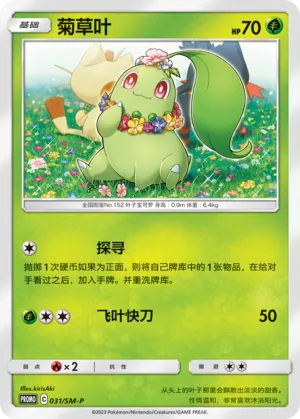 菊草叶