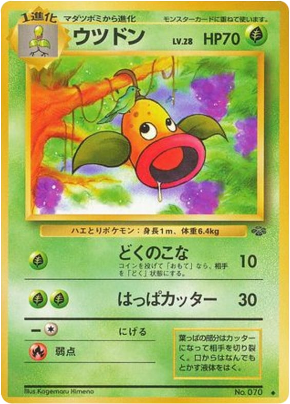 ウツドン