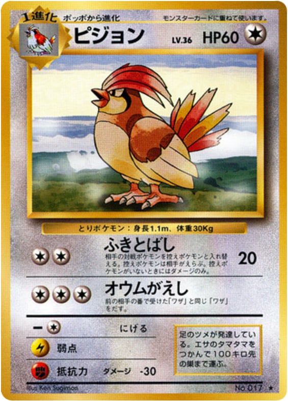 ピジョン
