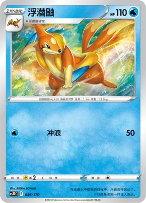浮潜鼬