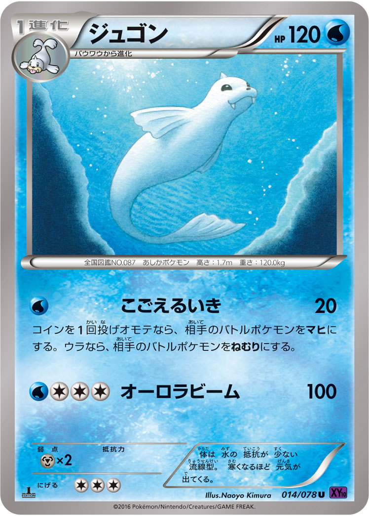白海狮