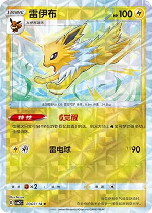 雷伊布