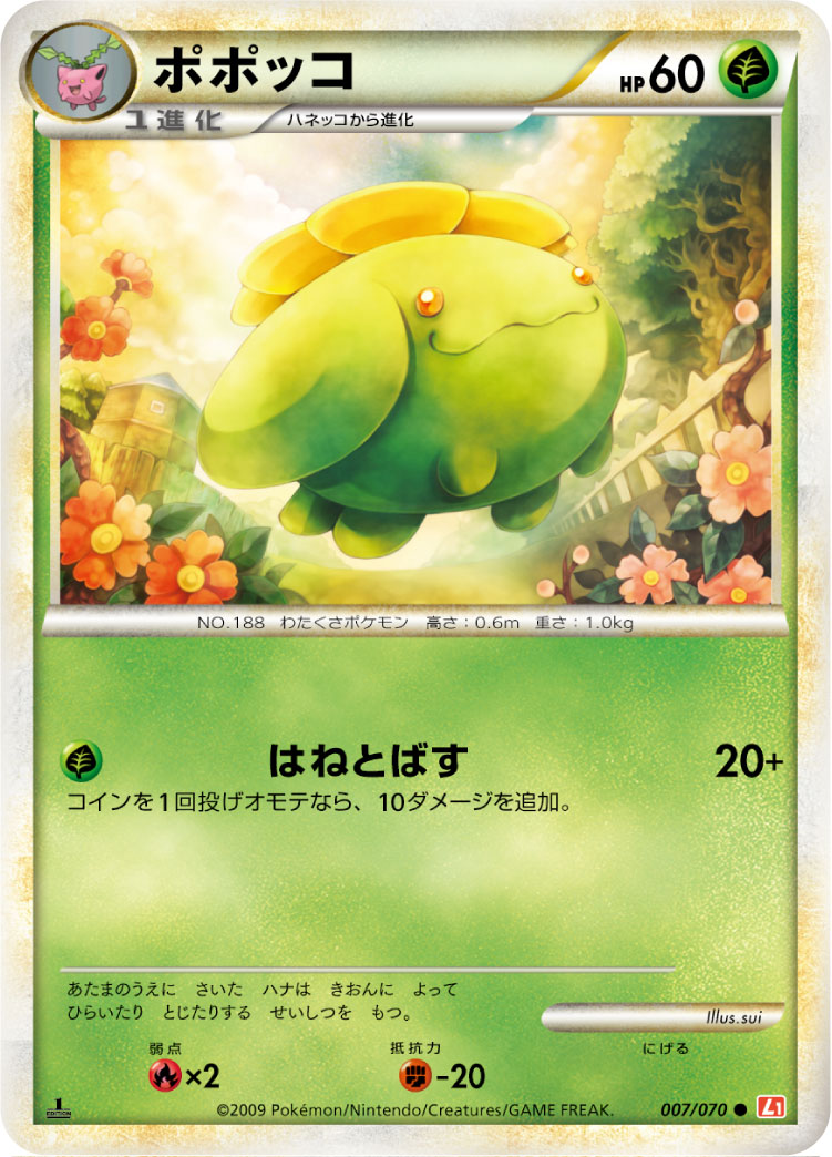 毽子花