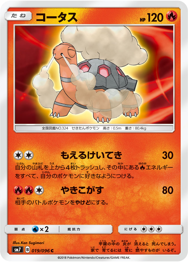 煤炭龟