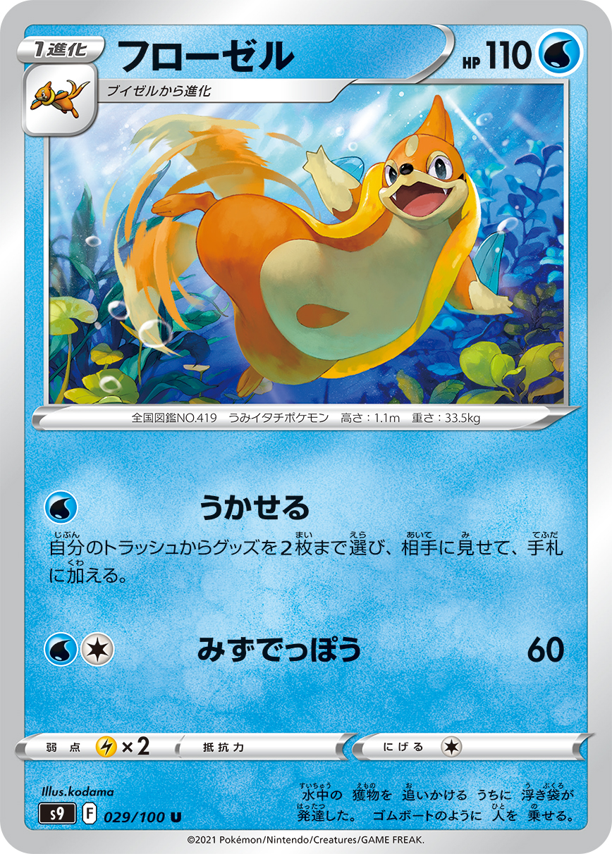 浮潜鼬
