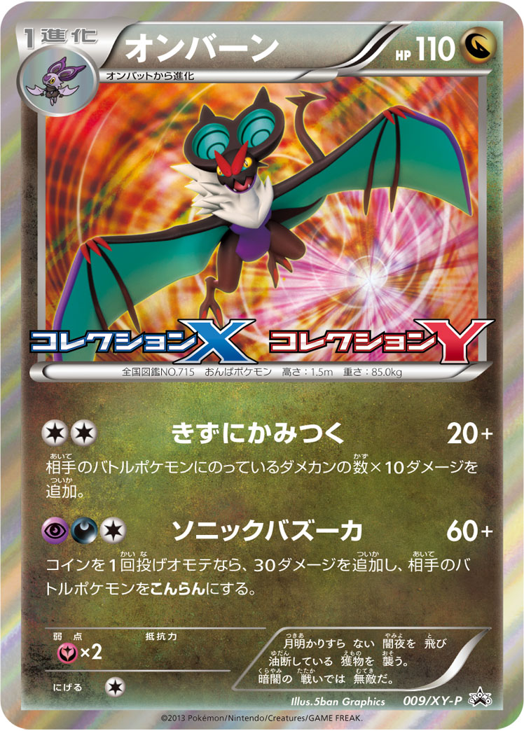 音波龙