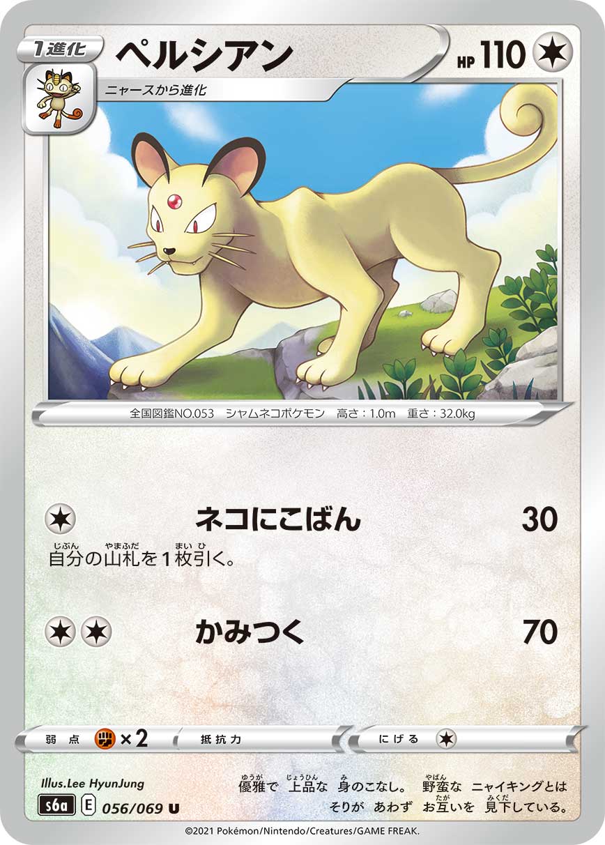 猫老大