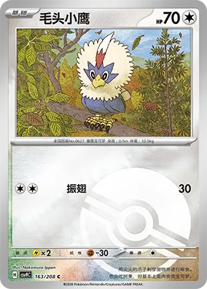 毛头小鹰