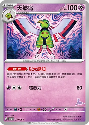 天然鸟