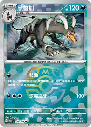 黑鲁加