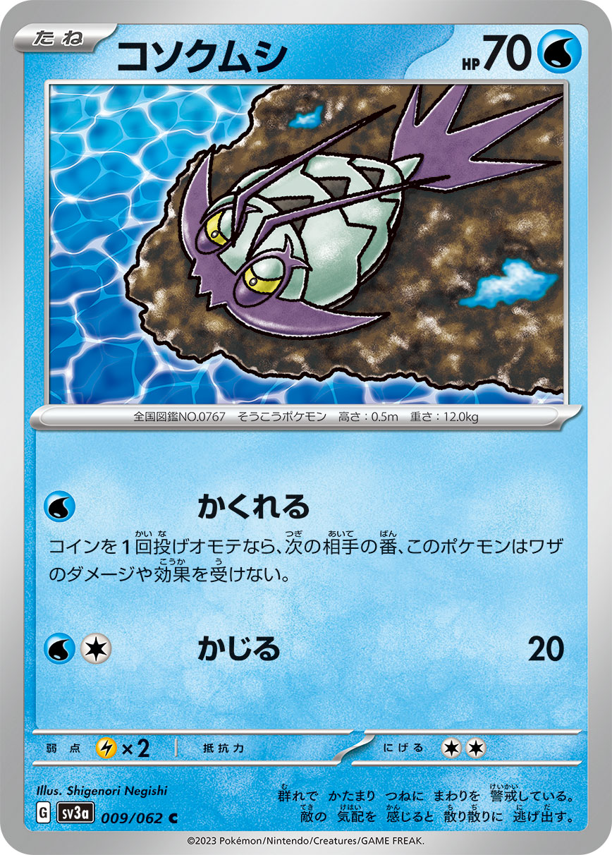 胆小虫