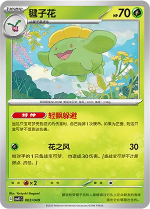 毽子花
