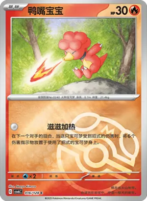 鸭嘴宝宝