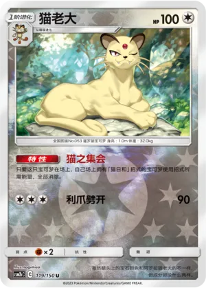 猫老大