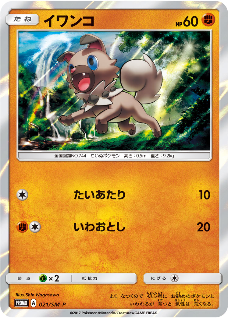 岩狗狗