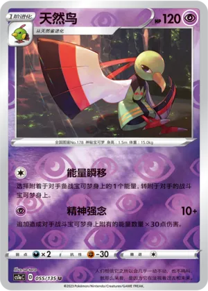 天然鸟