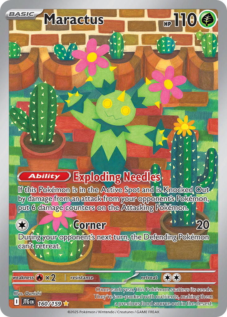 Maractus
