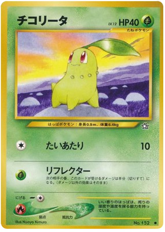 チコリータ