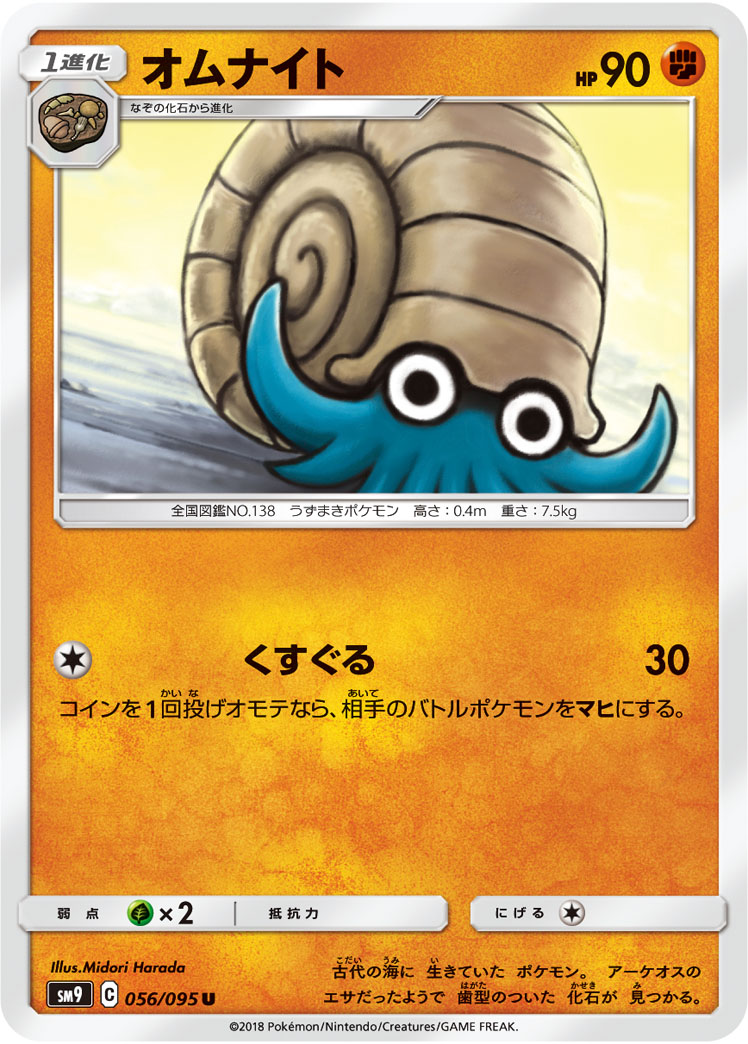 菊石兽