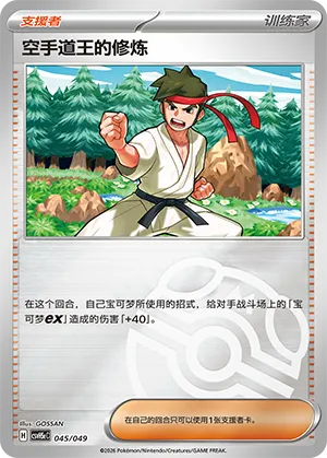 空手道王的修炼