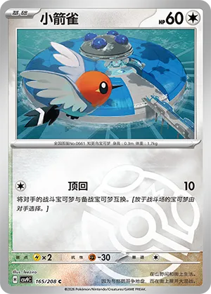 小箭雀