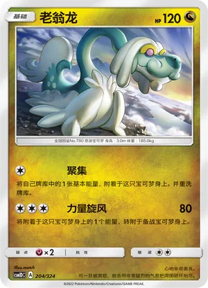 老翁龙